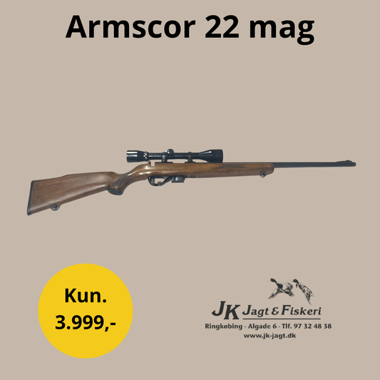 Armscor 22 mag